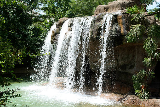 Modern villa bahçesi